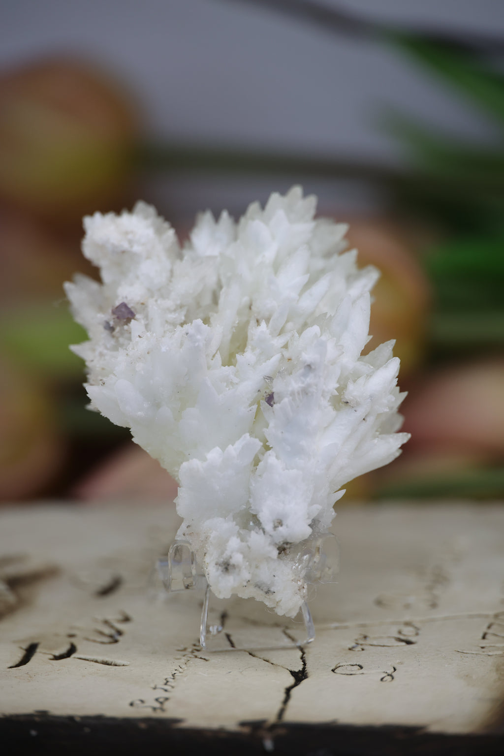 Feather Calcite with Fluorite Inclusions