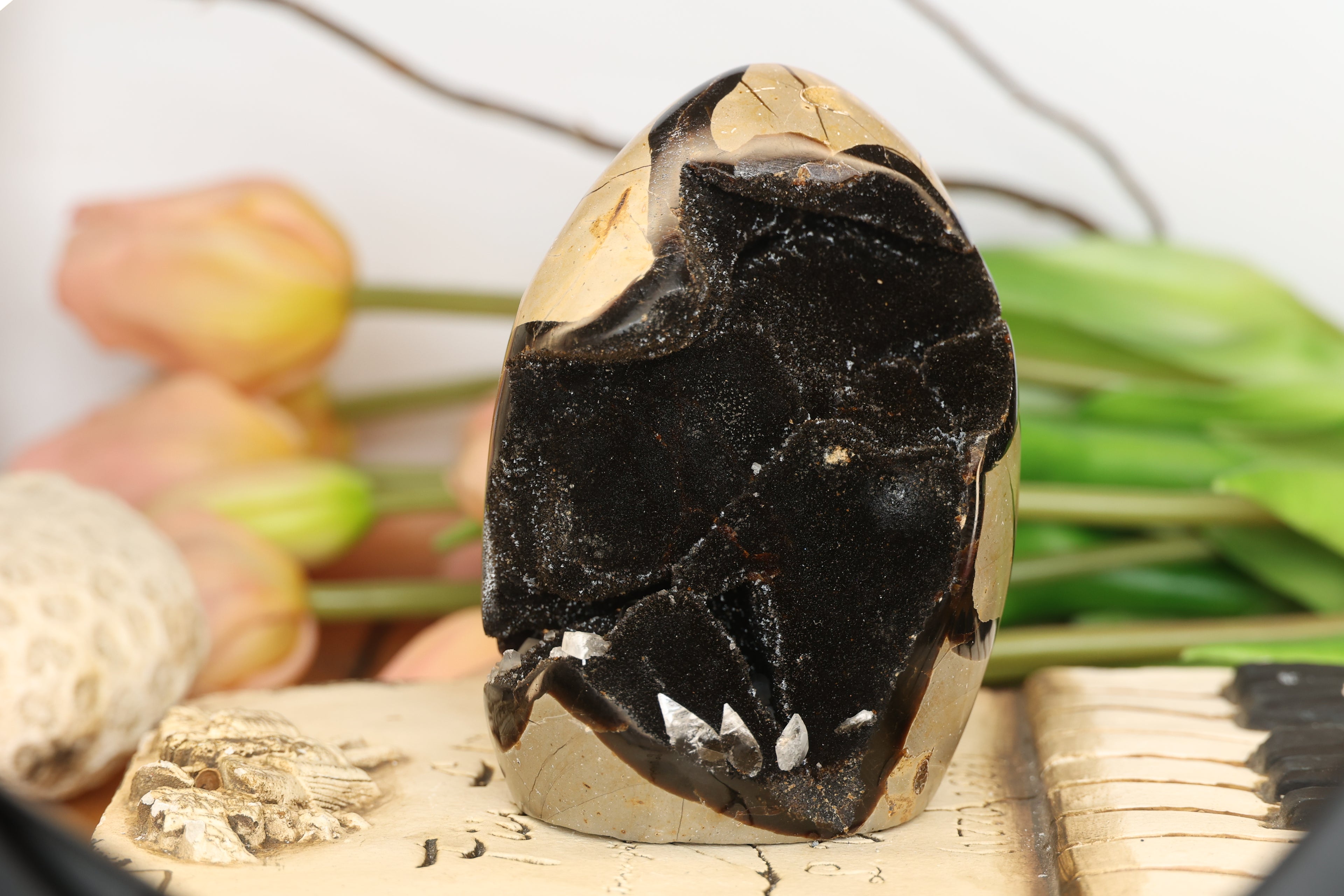Septarian Freeform with Druzy Pocket