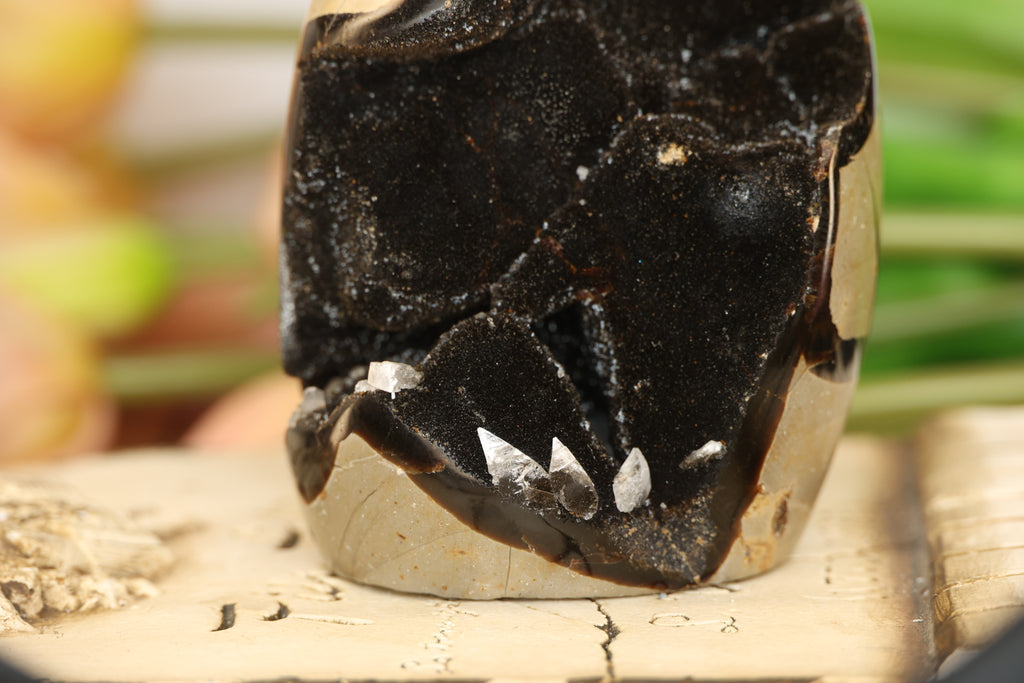 Septarian Freeform with Druzy Pocket