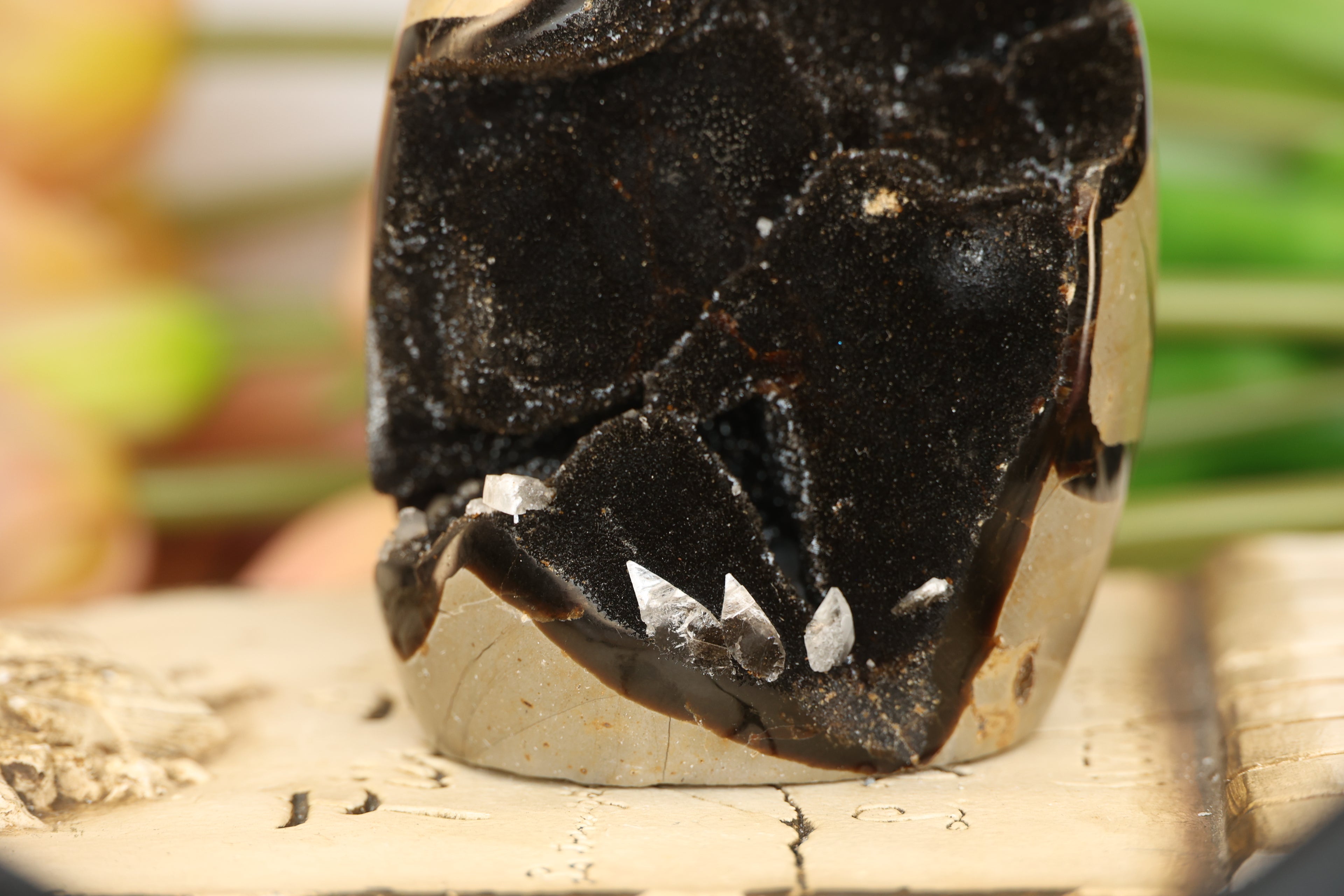 Septarian Freeform with Druzy Pocket