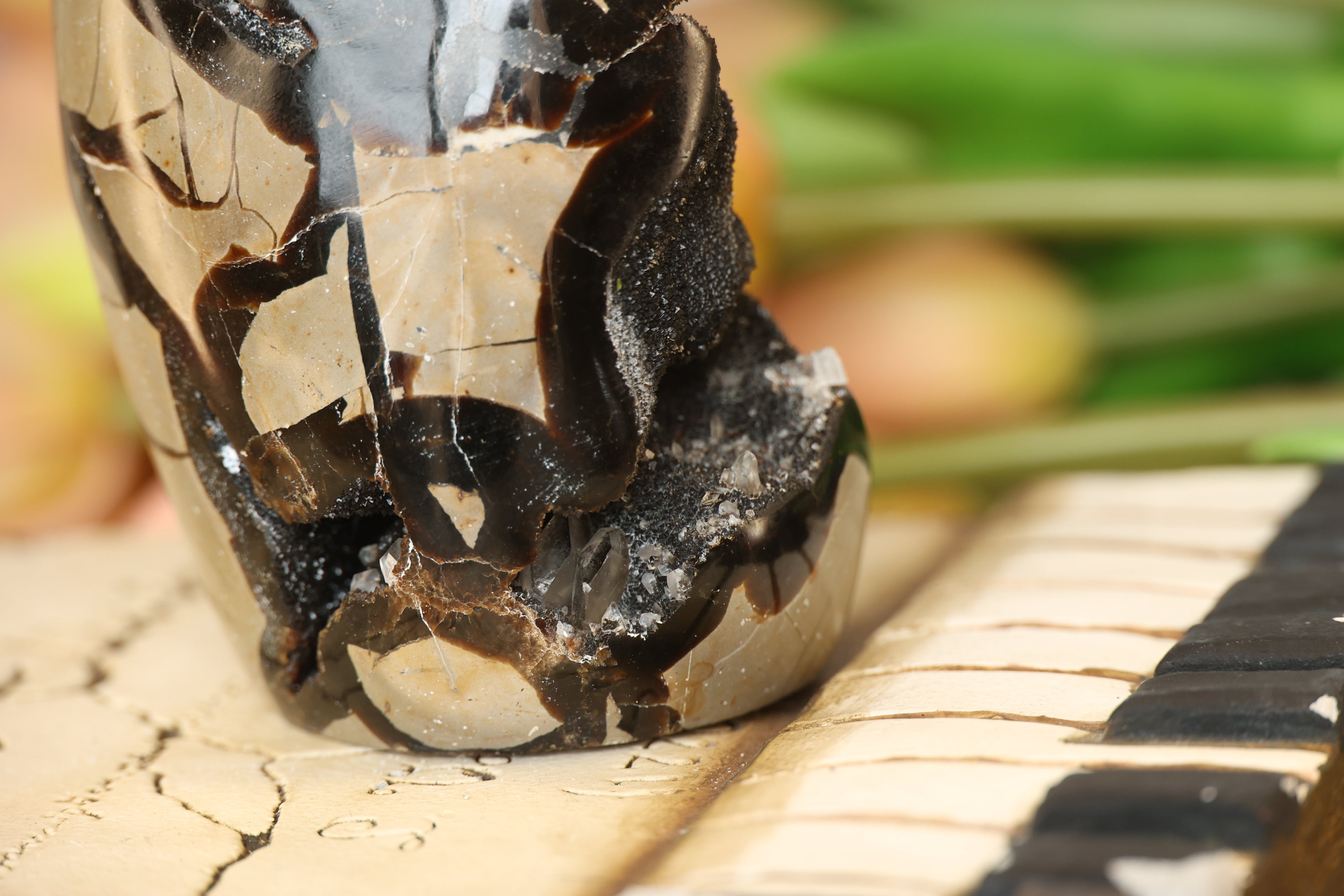 Septarian Freeform with Druzy Pocket