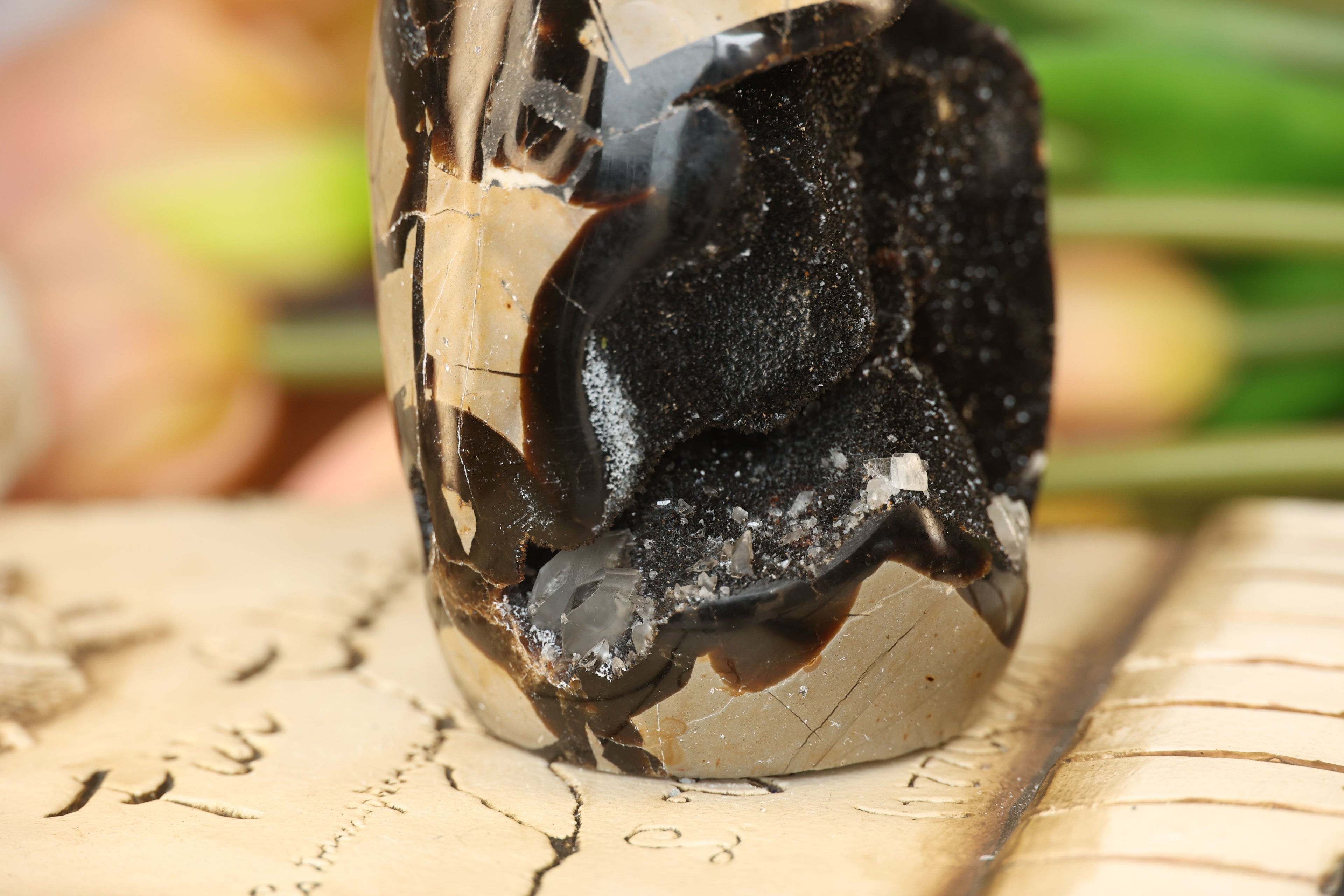 Septarian Freeform with Druzy Pocket