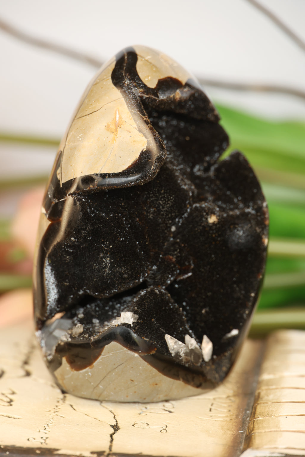 Septarian Freeform with Druzy Pocket