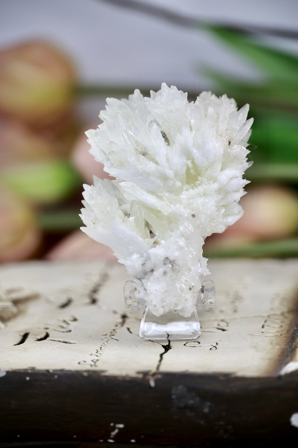 Feather Calcite with Fluorite Inclusions