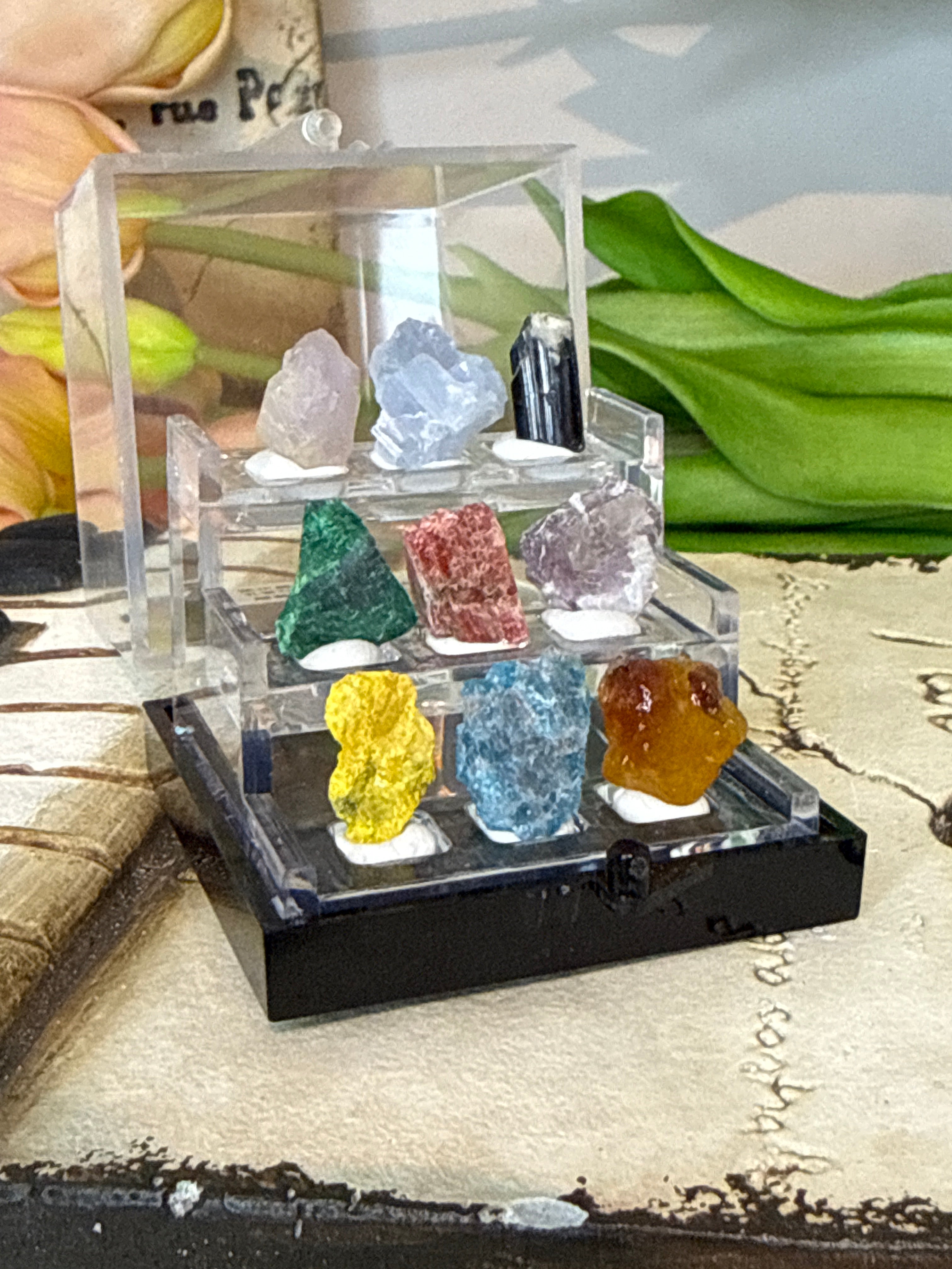 Mini Specimen Boxes