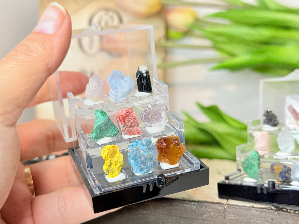 Mini Specimen Boxes