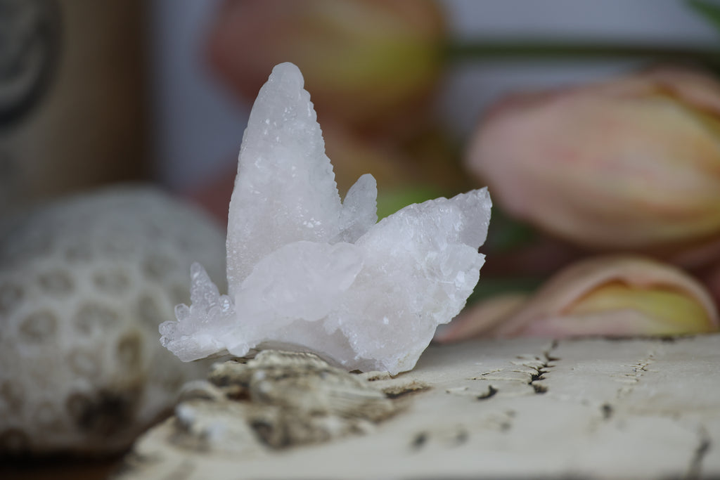 White Aragonite Crystal Cluster