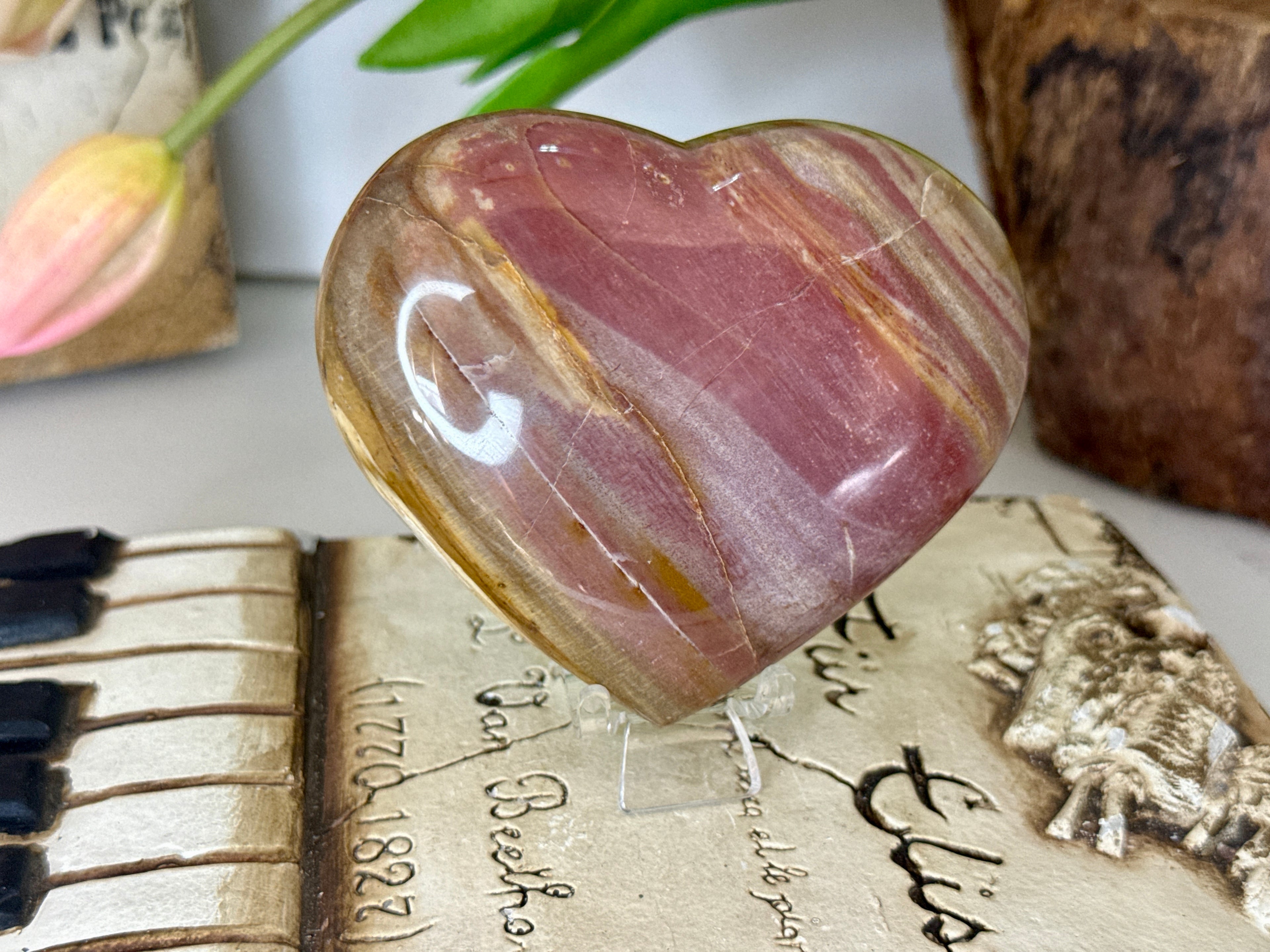 Petrified Wood Heart