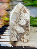 Crazy Lace Agate Freeform Tower