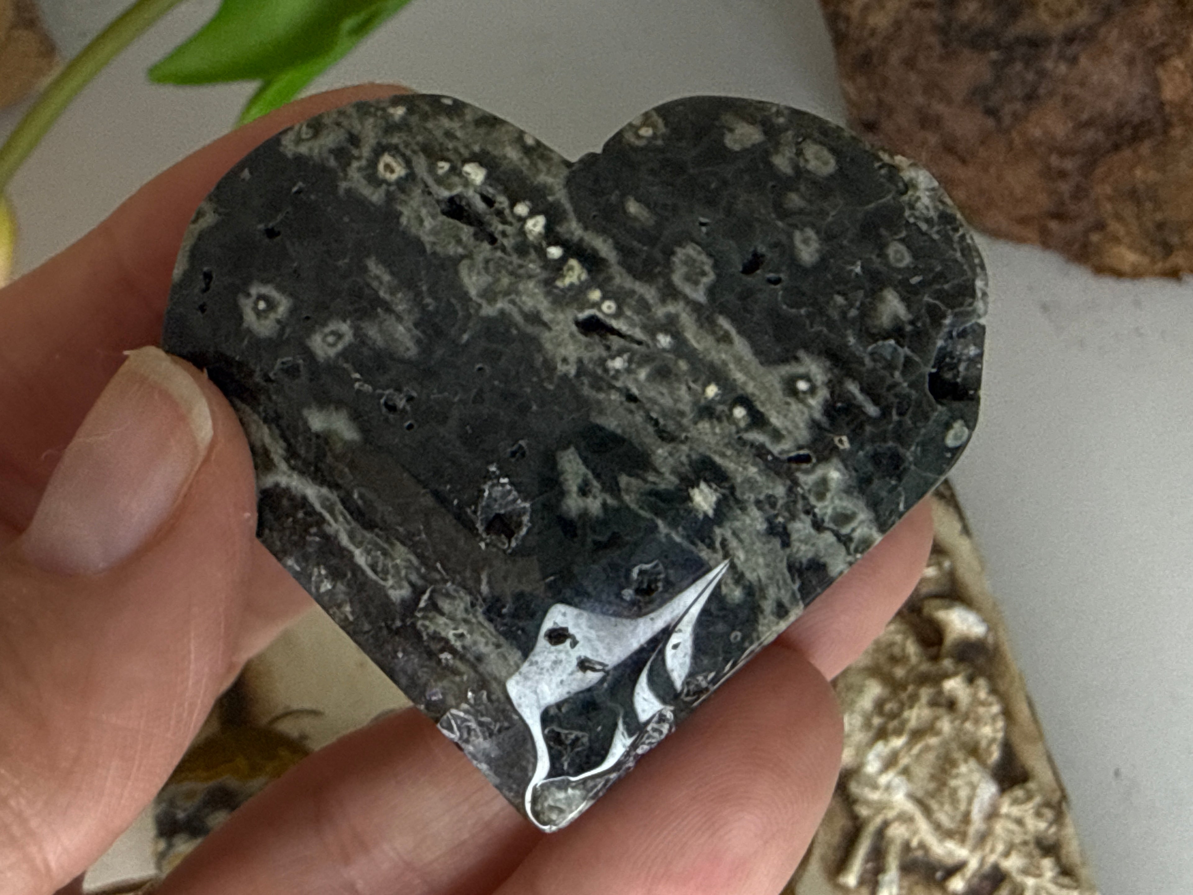Ocean Jasper Hearts