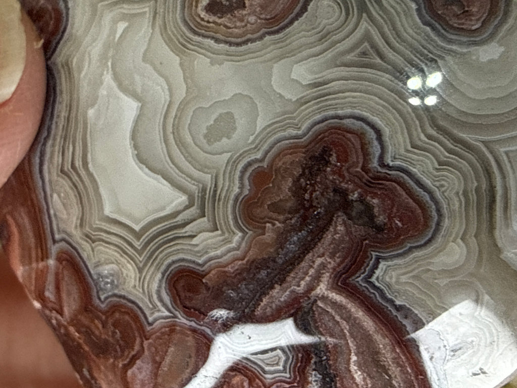 Crazy Lace Agate Hearts