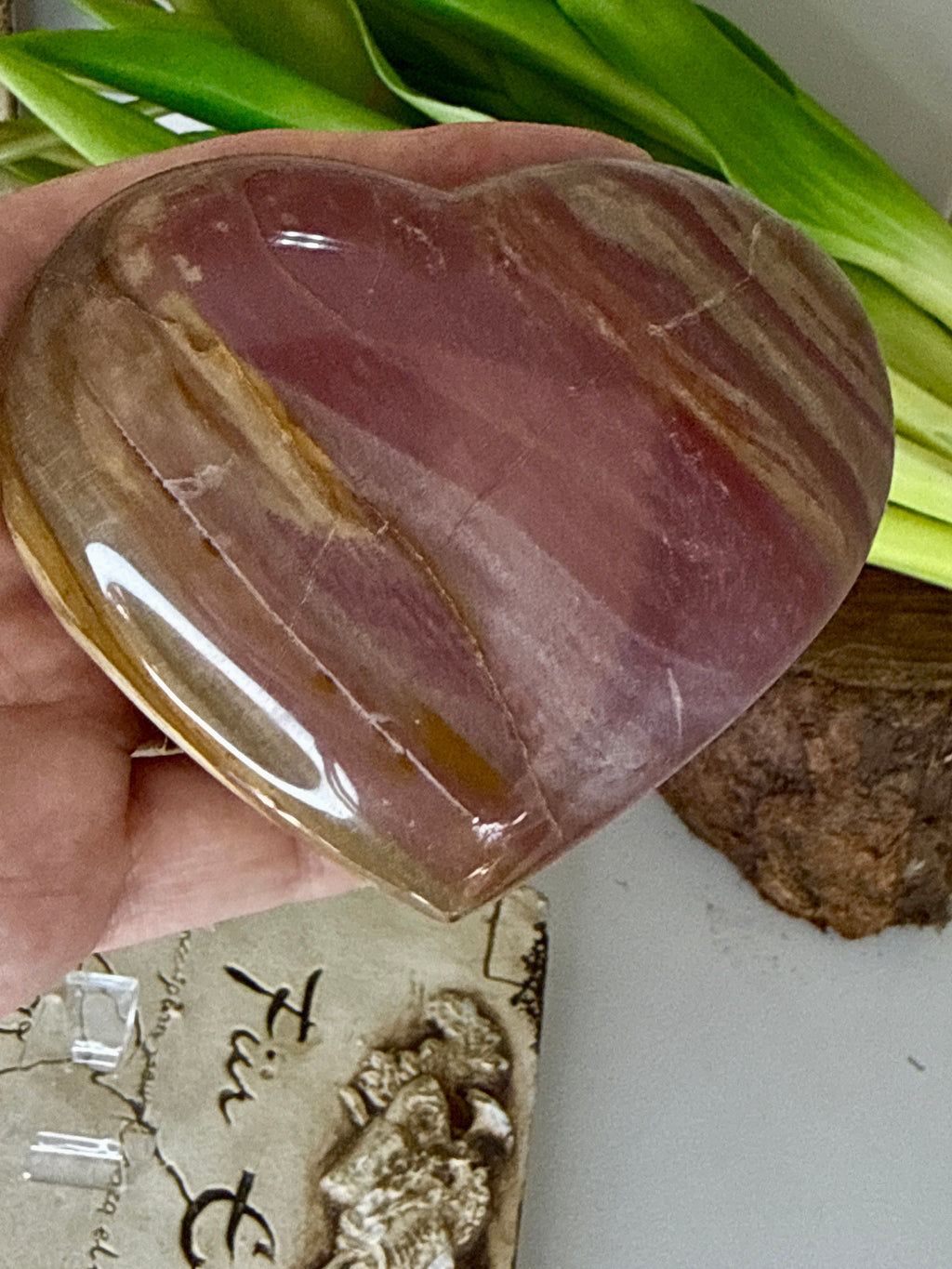 Petrified Wood Heart