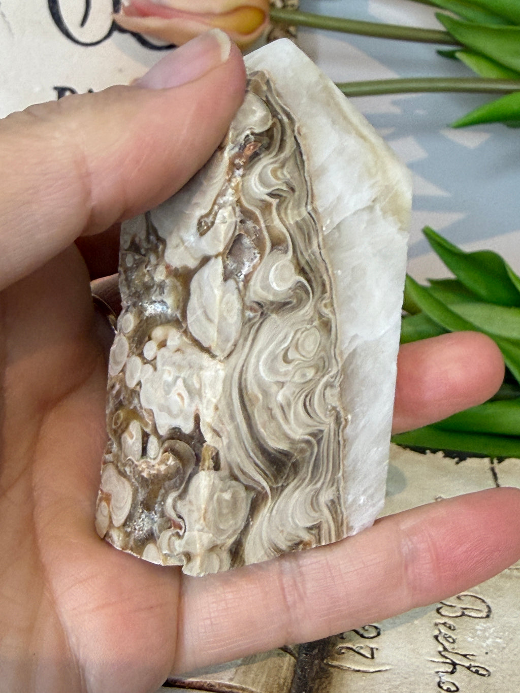 Crazy Lace Agate Freeform Tower