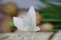 White Aragonite Crystal Cluster
