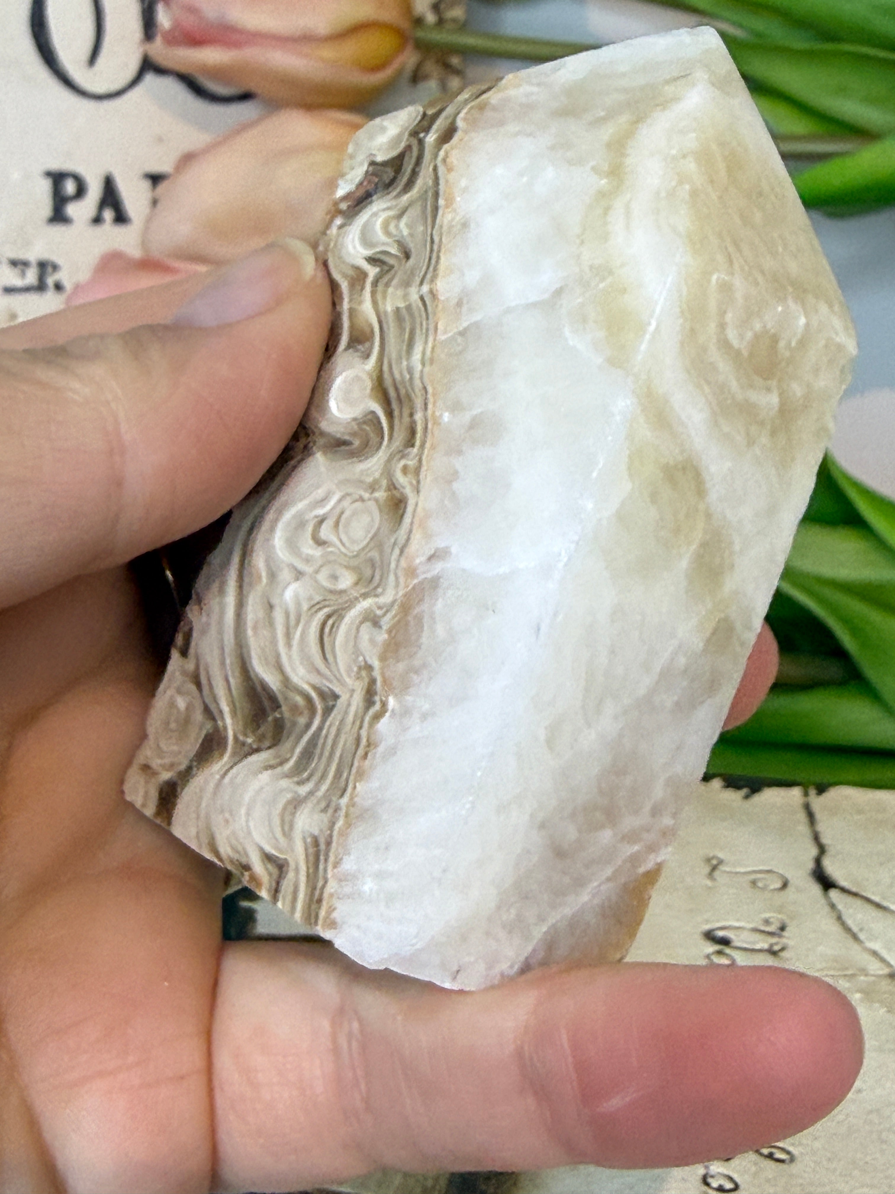 Crazy Lace Agate Freeform Tower