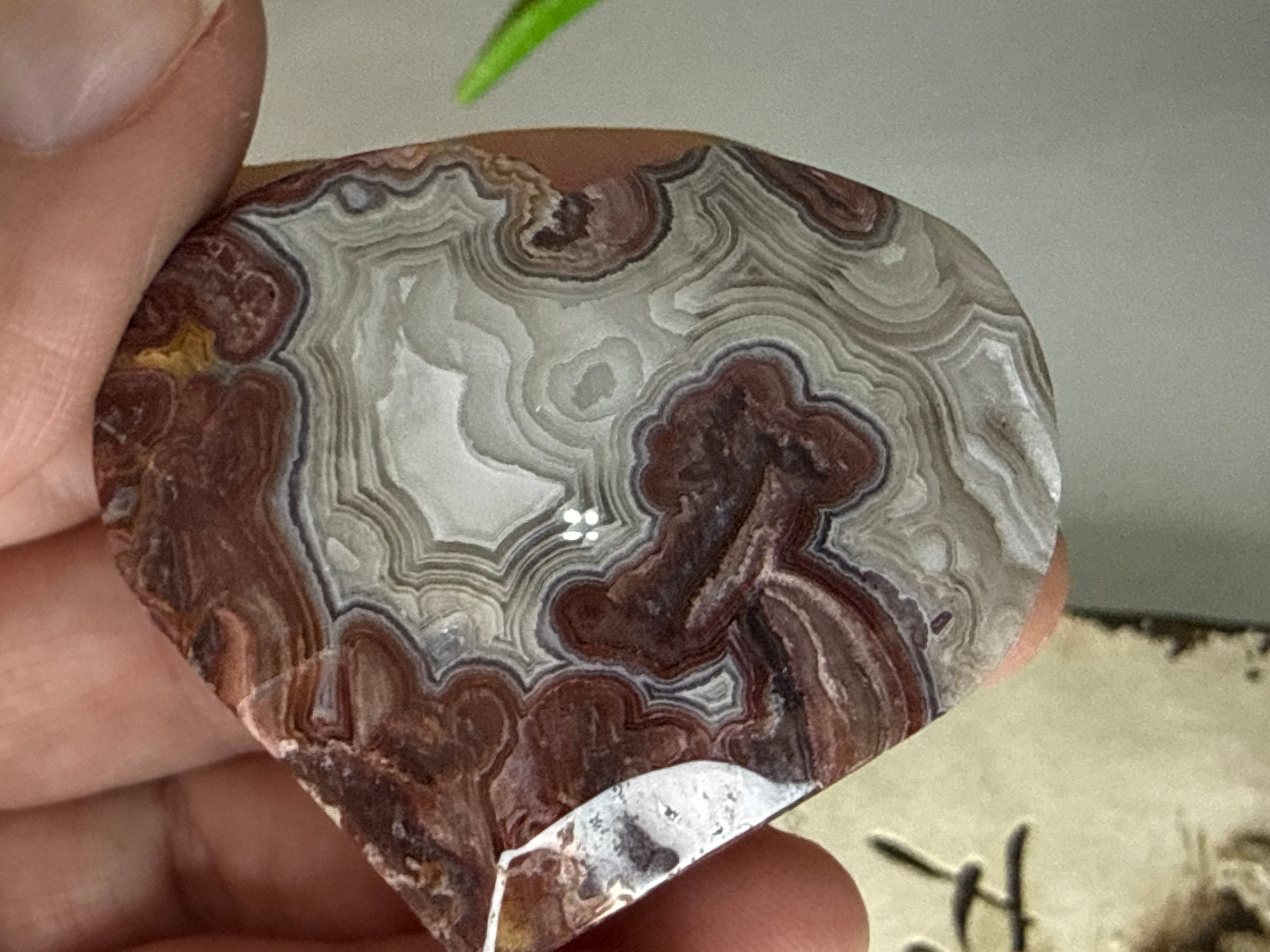 Crazy Lace Agate Hearts