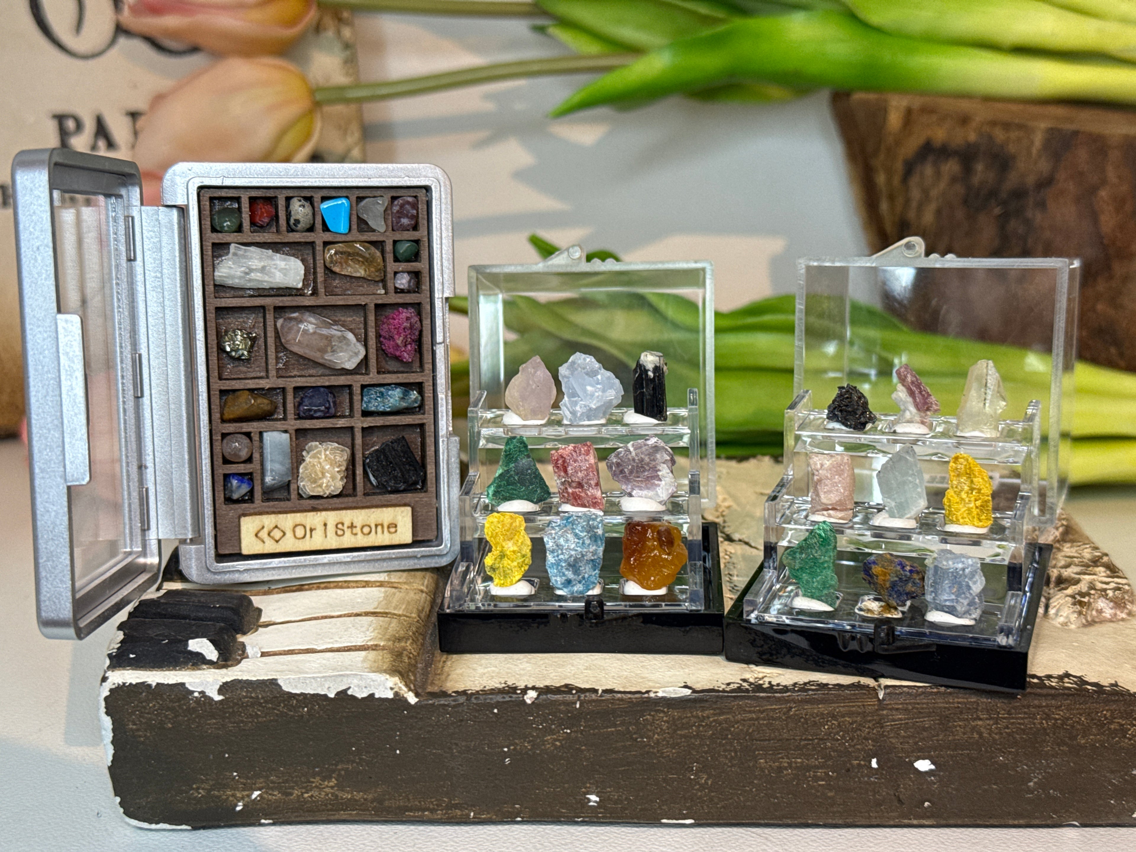 Mini Specimen Boxes