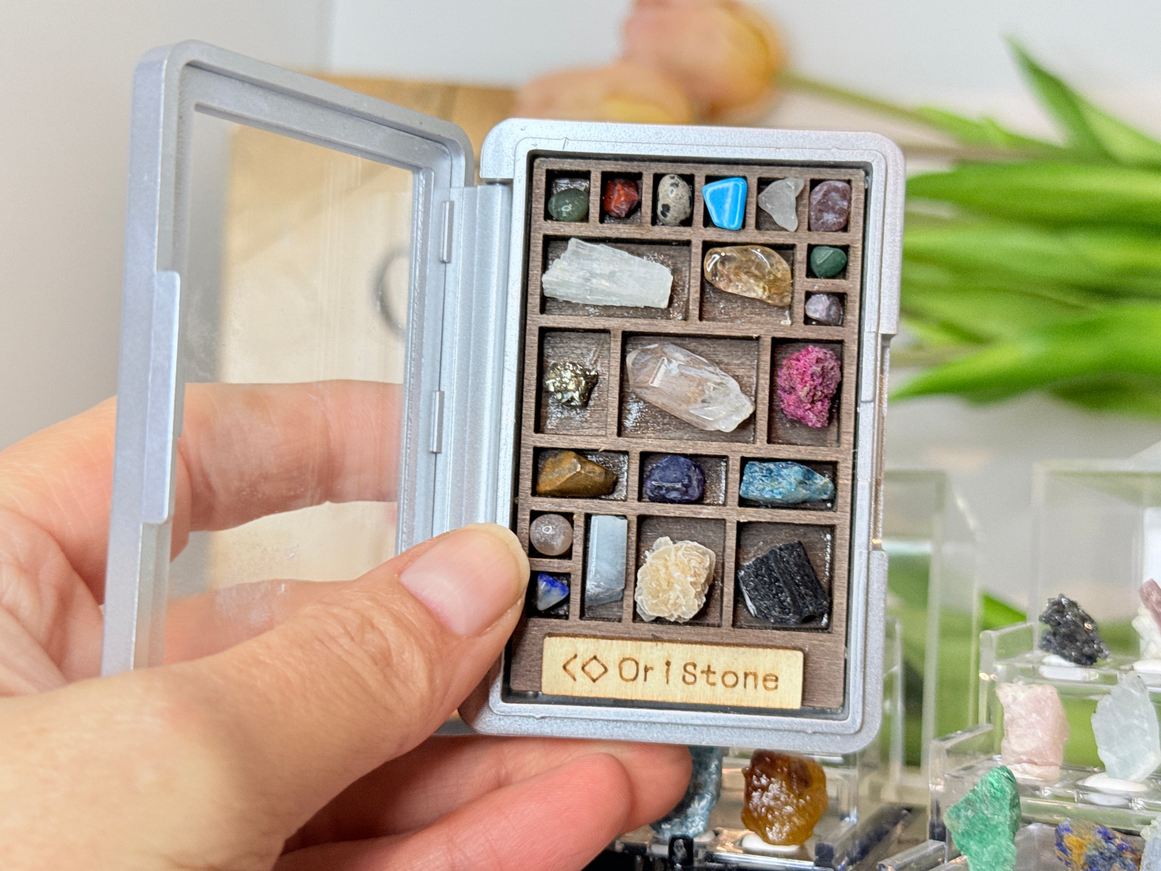 Mini Specimen Boxes