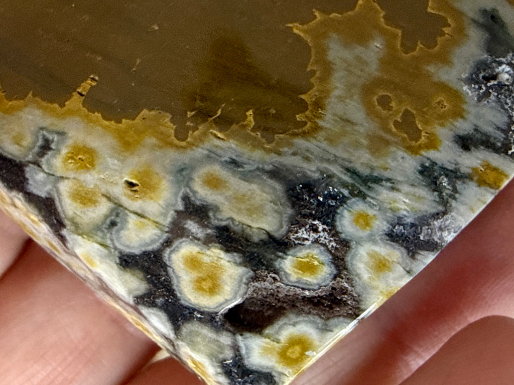 Ocean Jasper Hearts