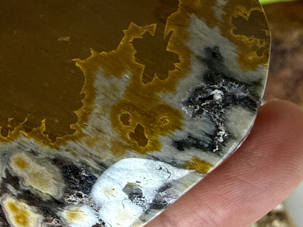 Ocean Jasper Hearts
