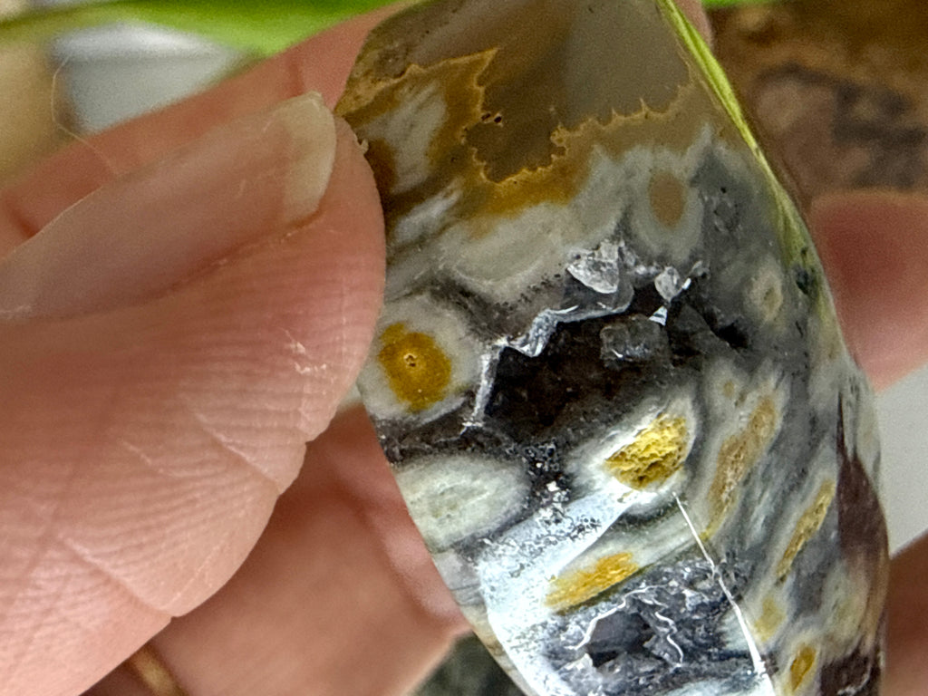 Ocean Jasper Hearts