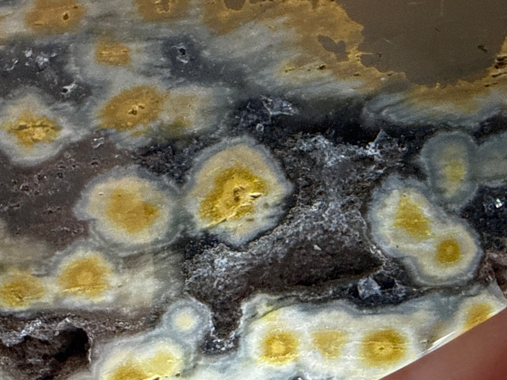 Ocean Jasper Hearts