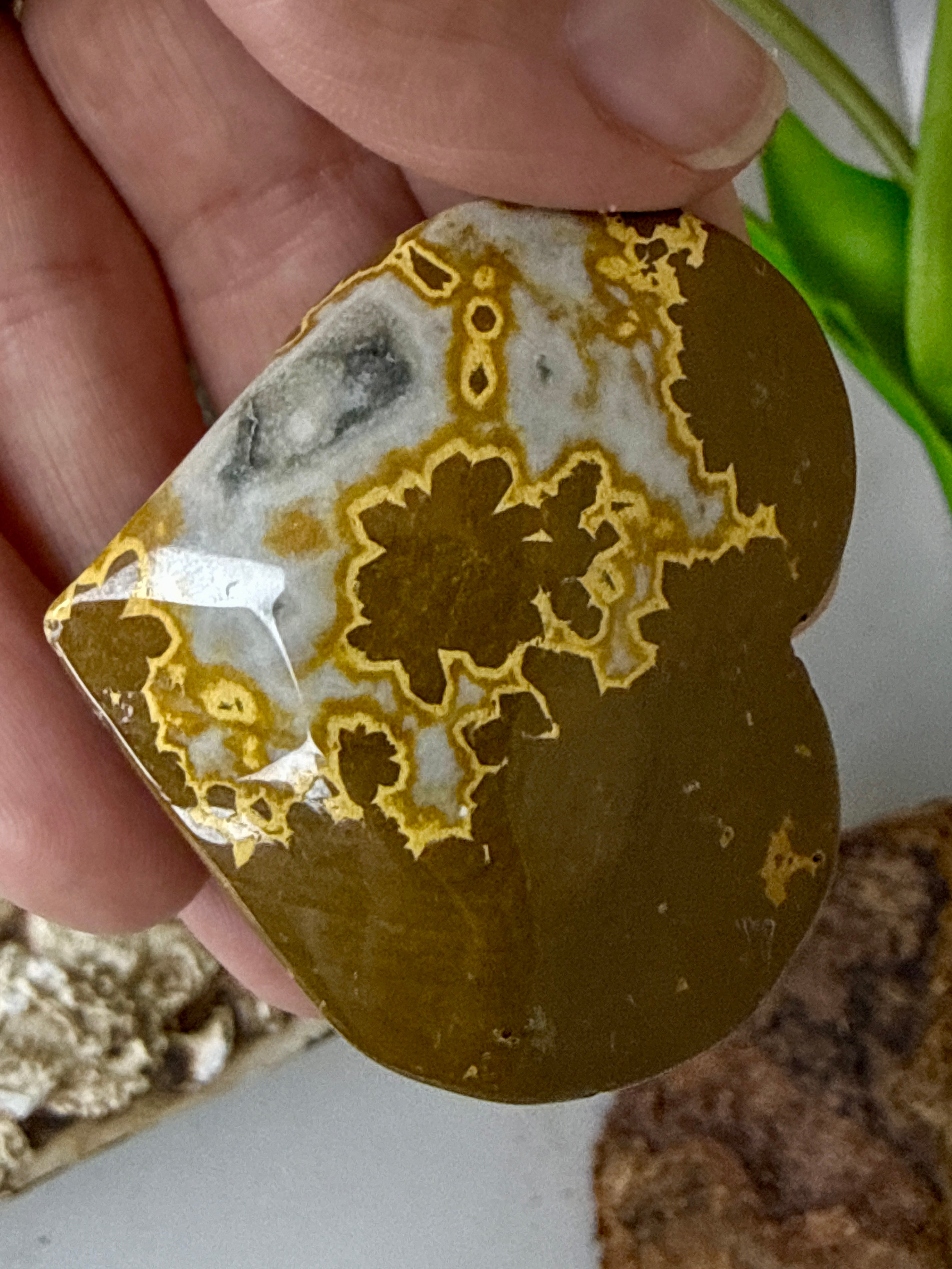 Ocean Jasper Hearts