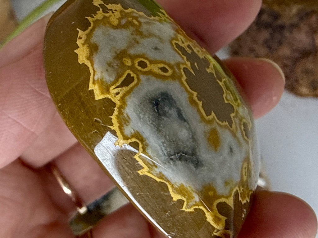Ocean Jasper Hearts