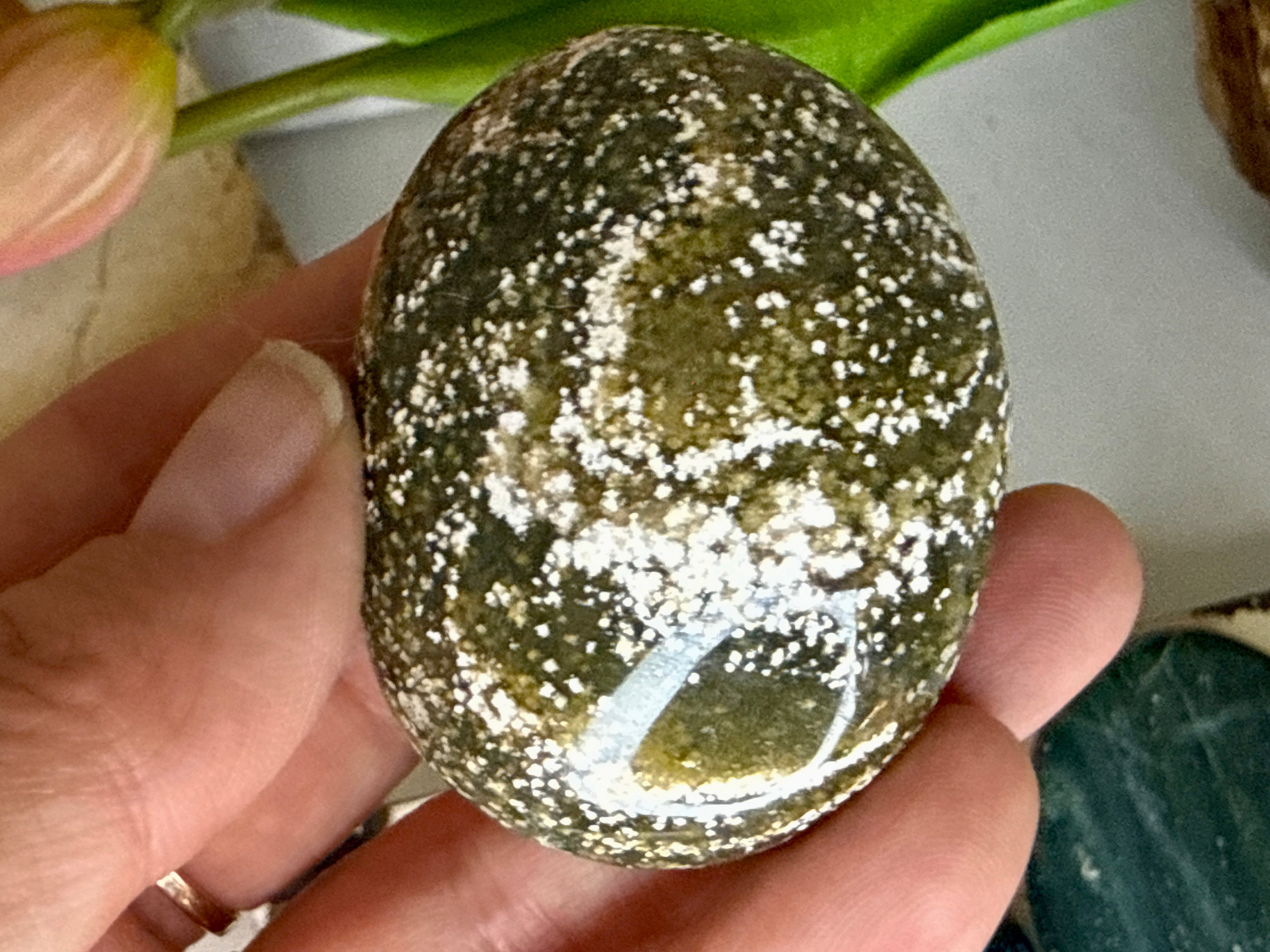 Ocean Jasper Palm Stones