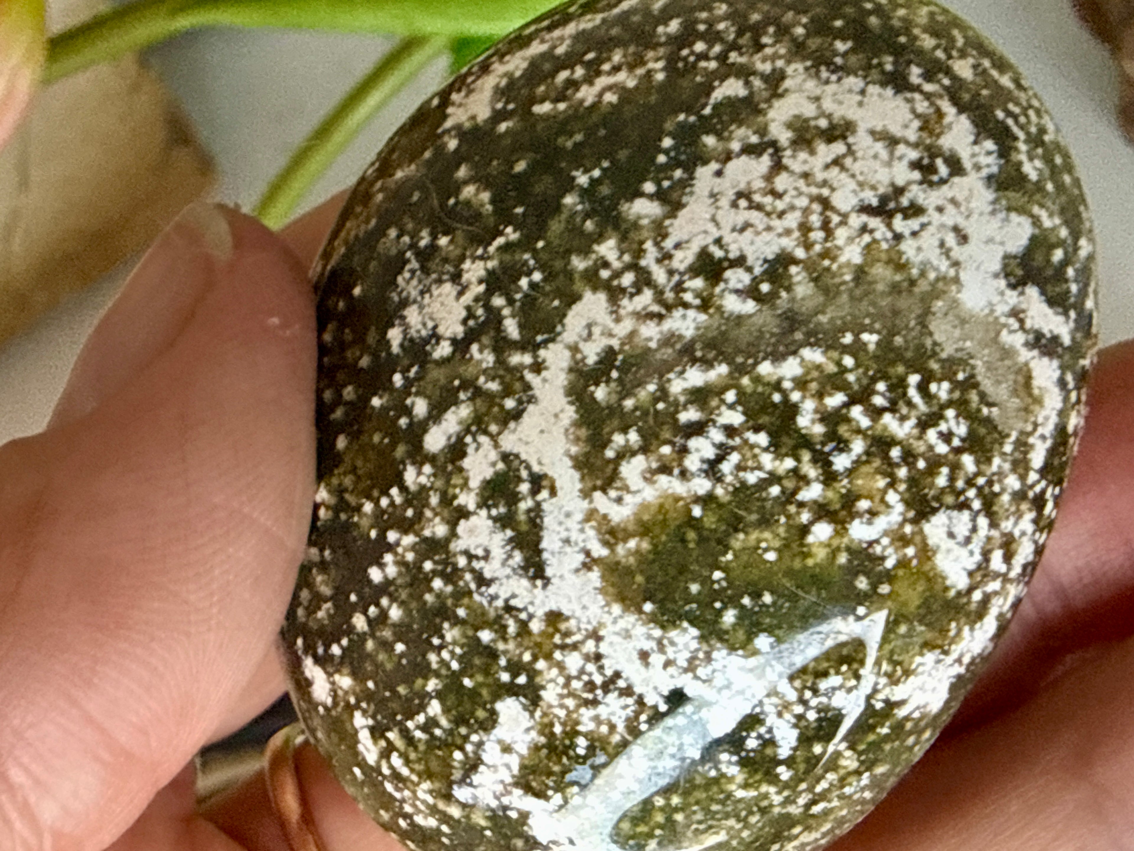 Ocean Jasper Palm Stones