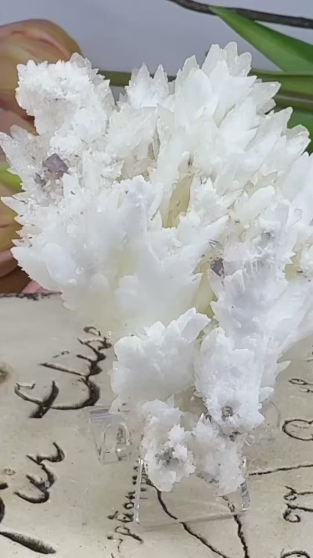 Feather Calcite with Fluorite Inclusions
